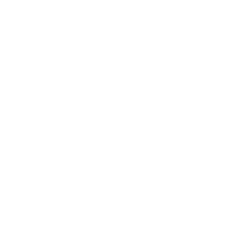 light logo
